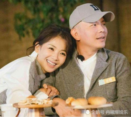 刘涛老公爆料最新,揭秘明星夫妻背后的真实生活