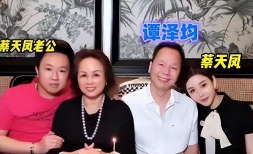蔡天凤案最新爆料,惊人内幕曝光，真相令人震惊！”